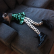 Illustration for article titled Internet Implodes at the Sight of Cats Wearing Tights